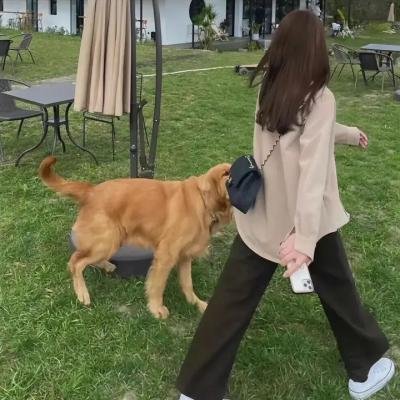 我女朋友的男朋友第一部 海报