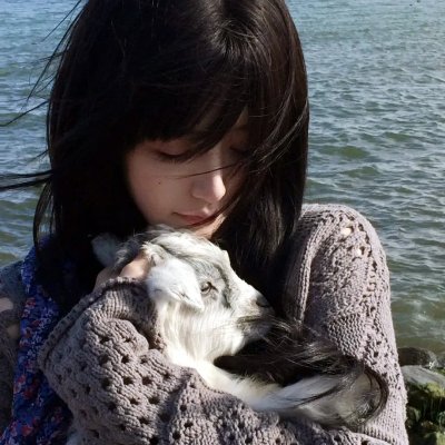特务一一七 海报
