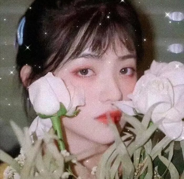 浪族阔少爷 海报